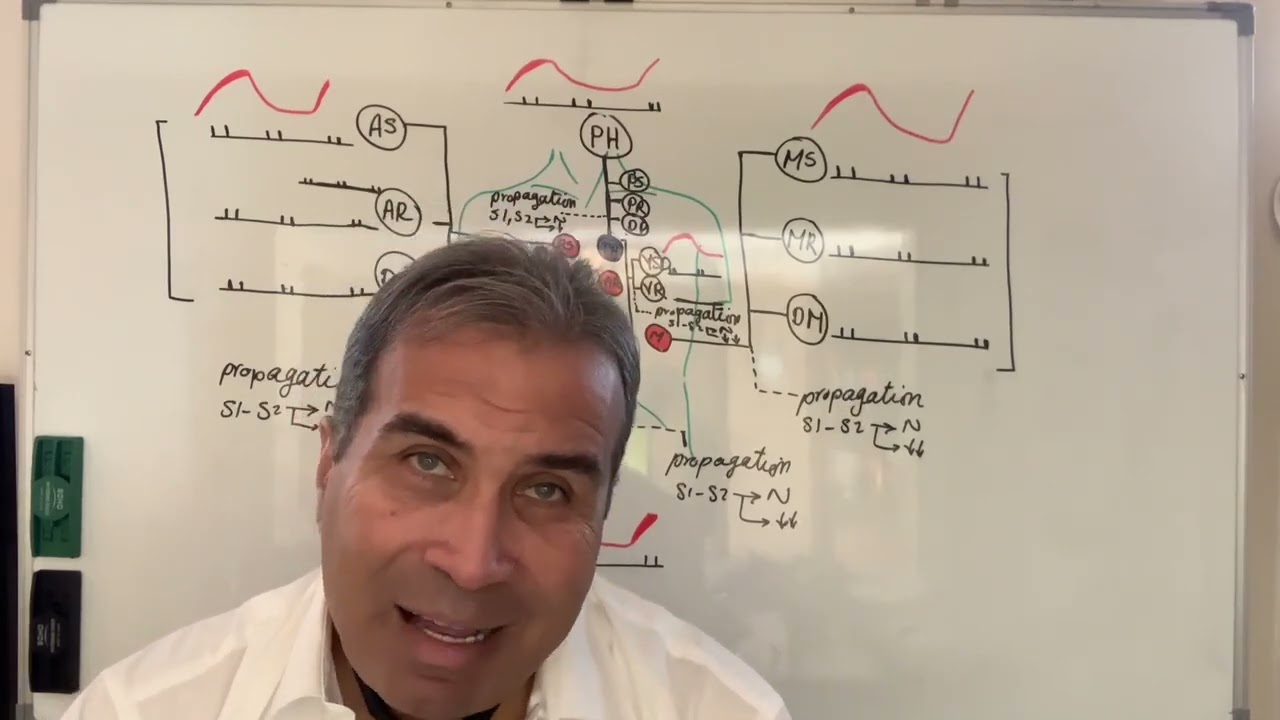 Clinical Cardiology Dr. Ashraf Zaki - Local Heart Examination 3 ( Auscultation 2 )