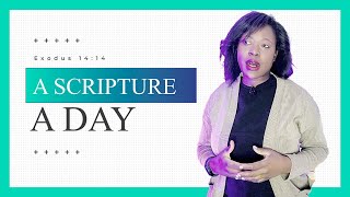 Tsevaot The Lord Of Armies Is Fighting For You Exodus 1414 Scripture A Day