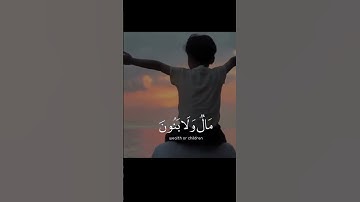(وَلَا تُخْزِنِي يَوْمَ يُبْعَثُونَ) سورة الشعراء آية ٨٧ للقارئ أحمد النفيس