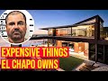 10 Super Expensive Things El Chapo Owns/ Luxury World