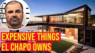 10 Super Expensive Things El Chapo Owns Luxury World