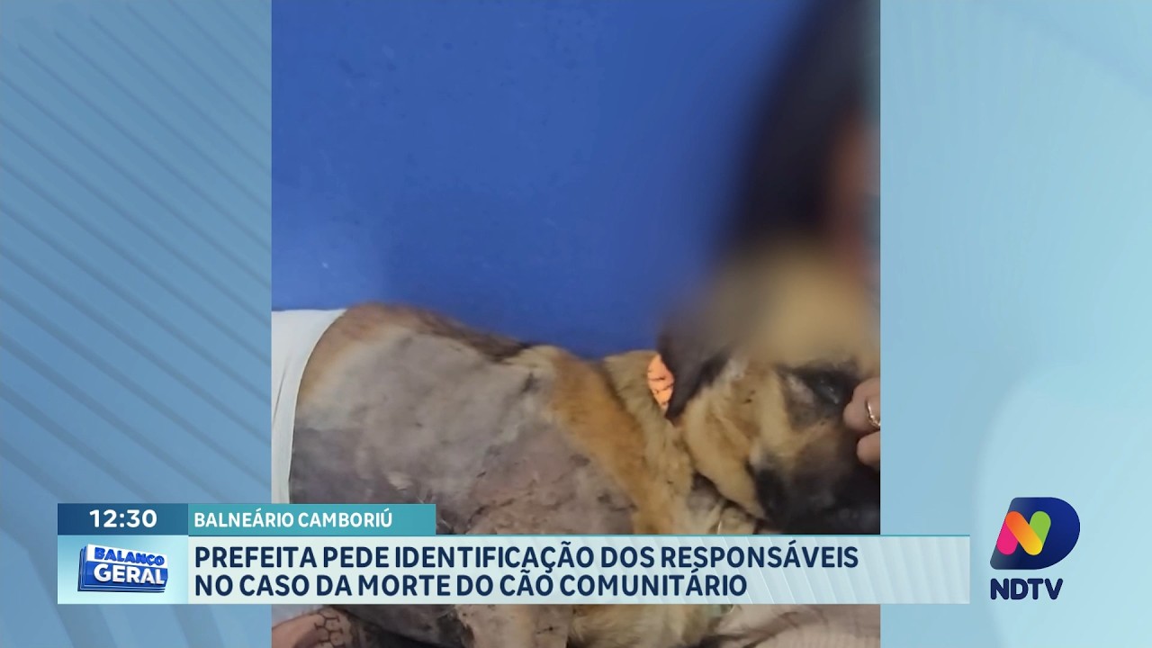 Caso de cão comunitário mobiliza autoridades e moradores em Baneário Camboriú