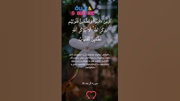 أجمل حالات واتساب دينية❤️||قرآن كريم💚||{الذين امنوا وتطمئن قلوبهم بذكر الله}||حياة القلوب🕊️||