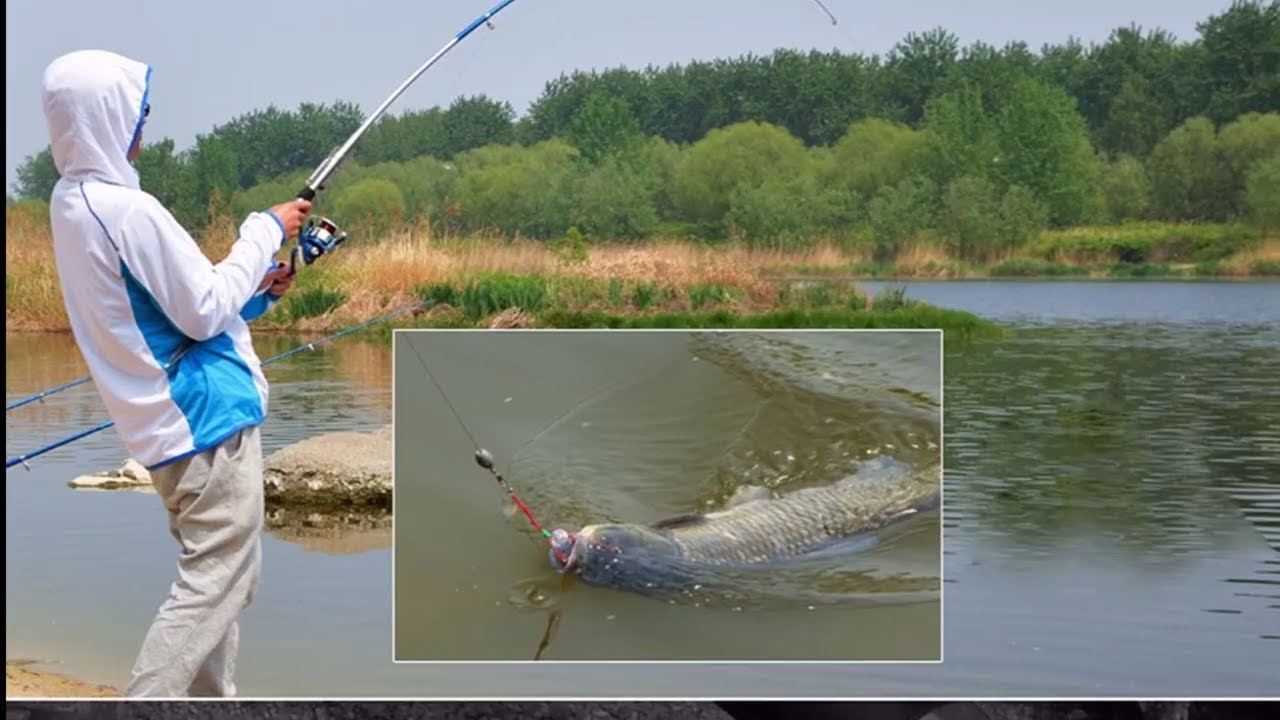 Automatic Fishing Rod | High Quality Fish Pole | Sea,River,Lake ...