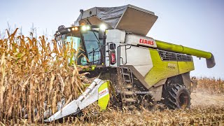 EXTRA BREITES BANDLAUFWERK | der neue Claas Lexion 8900 Maisernte | MS Agrar | Corn Harvest | 2020