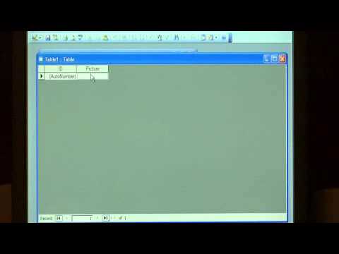 How to Insert a Picture, Graph or Office Document in an Access 2003 Database
