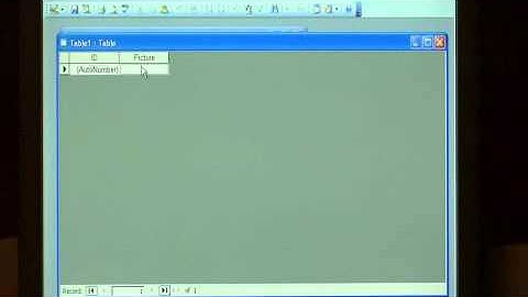 How to Insert a Picture, Graph or Office Document in an Access 2003 Database
