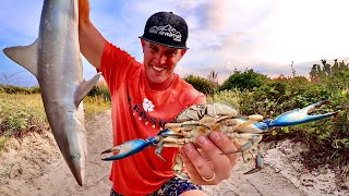 Ocean Foraging Shark Shrimp Crab Catch n’ Cook