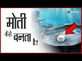 मोती कैसे बनता है, Moti Ki Kheti, How Pearls are Formed Naturally