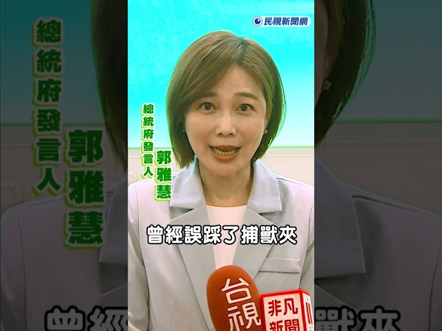 快新聞／陳佩琪諷賴清德愛犬「殘障三腳狗」 總統府揭流浪史：不希望他受到攻擊｜民視快新聞｜