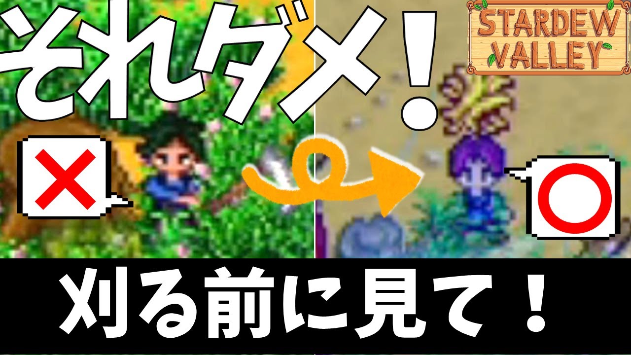スターデューバレー】プレイ前に知りたかった…牧草は刈らない方がいい