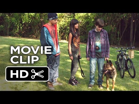 Max Movie CLIP - Air Jordan of Dogs (2015) - War Dog Drama HD
