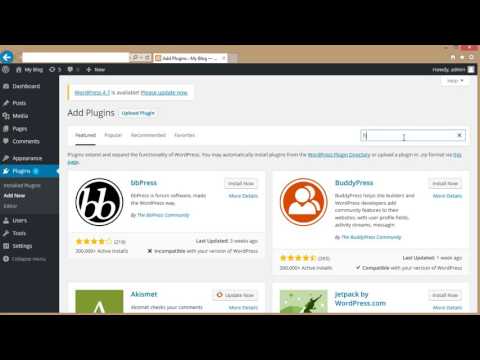 how to add js code to your wordpress site