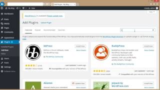 how to add js code to your wordpress site