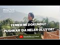 Ruhani Şehir Pushkar - Zehirlendim mi? #india #pushkar #dünyaturu S2B17