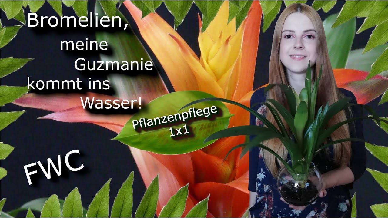 farn blumentopf NEU !! Schöner Blumentopf mit Dekor main image 0