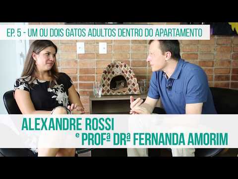 Vídeo: Nobivak Para Gatos E Gatos: Instruções, Preço Da Vacina, Comentários Sobre O Uso Em Gatinhos E Animais Adultos, Análogos