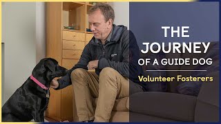Volunteer Fosterers | Episode 6 | The Journey of a Guide Dog