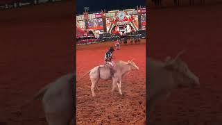 Rafael Ribeiro Vs Senegal Cia. Gianotti - Barretos International 2025