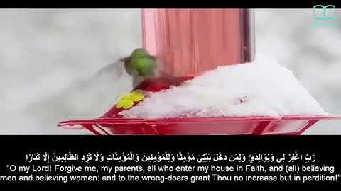 سورة نوح - ياسر الدوسري - مترجم | Surah Nuh - Yasser Aldosari - English subtitles
