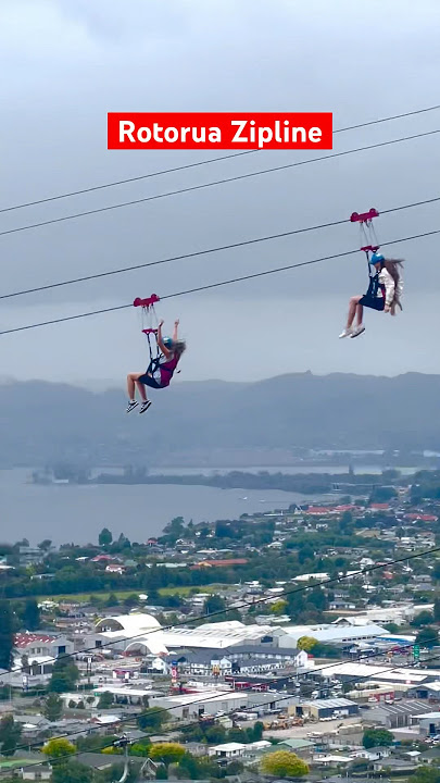 Download lagu Most thrilling Zipline Adventure #zipline #shorts #ytviral #ytshorts #shortsfeed #shortsyoutube