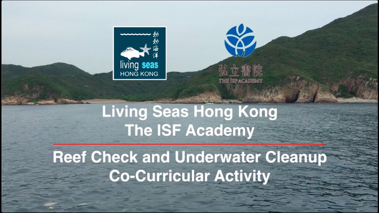 LSHK educational program: Reef check and underwater cleanup with The ...