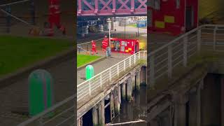 Whats Going On Here? What Are They Doing?