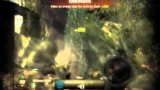 Double Cod minitage 100 Subs!!