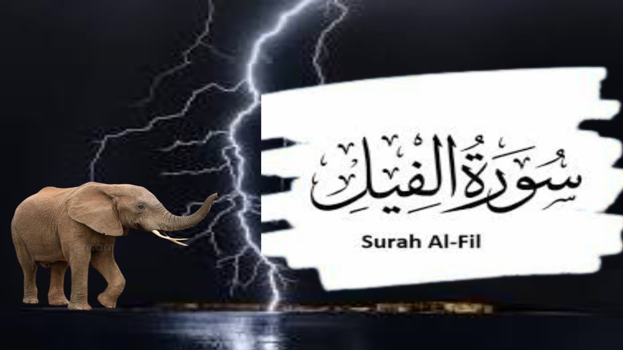 Surah AL Feel | Hafiz Saifullah Dahri | Full Arabic | With Urdu Meaning sourah105|Para 30 - YouTube