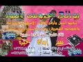 نانسي عجرم اوكي بدون موسقى روائع عروس النور 0533882336