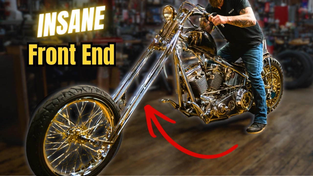 Interesting Sugar Bear Front End Images