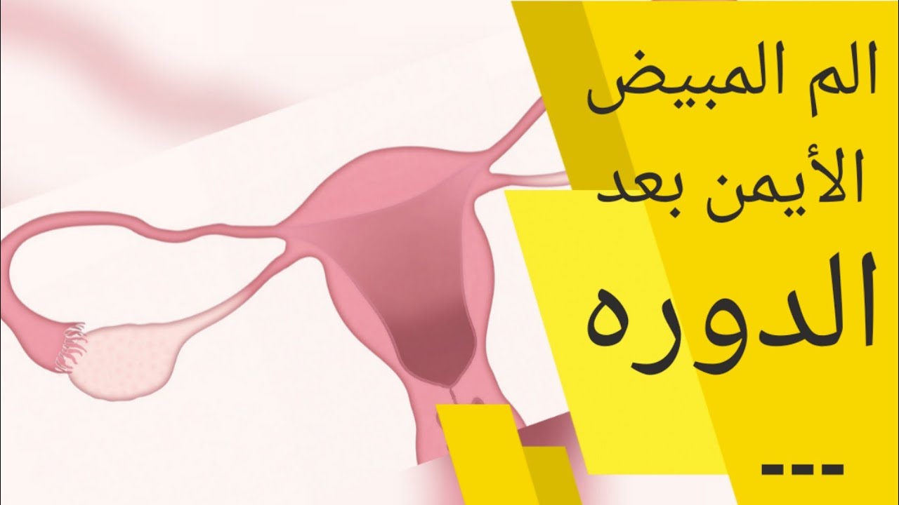 الم اسفل البطن بعد الدورة أسبابه وعلاجه كل يوم معلومة طبية