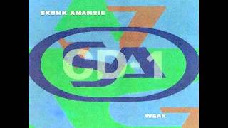 Watch Skunk Anansie Tour Hymn video