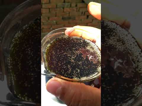 تعليم تكرير زيت السيارات المستعمل بطريقه سهله تحافظ على خصائصه    00201092229418