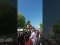 Así fue la caída de la palmera de la Borriquita el Domingo de Ramos de 2019