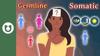 Cancer Genetics Explained: The Difference Between Somatic Mutations and Germline Mutations