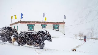 The Little Village with a Big Heart ♥ | Story of Todnam, Pin Valley, Spiti  1/6