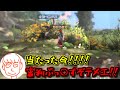 審判に殺意を抱いてしまうしんじろー吉田【2024.12.09/スマブラSP/しんじろー吉田/切り抜き】
