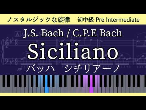 Siciliano (with Fingerings) (Flute sonata in E-flat major, BWV 1031, H.545) - J.S. Bach or C.P.E. Bach