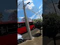 Haz paro @metrobusdela_cdmx #trafico #estorbo #vial #problema #coyoacán