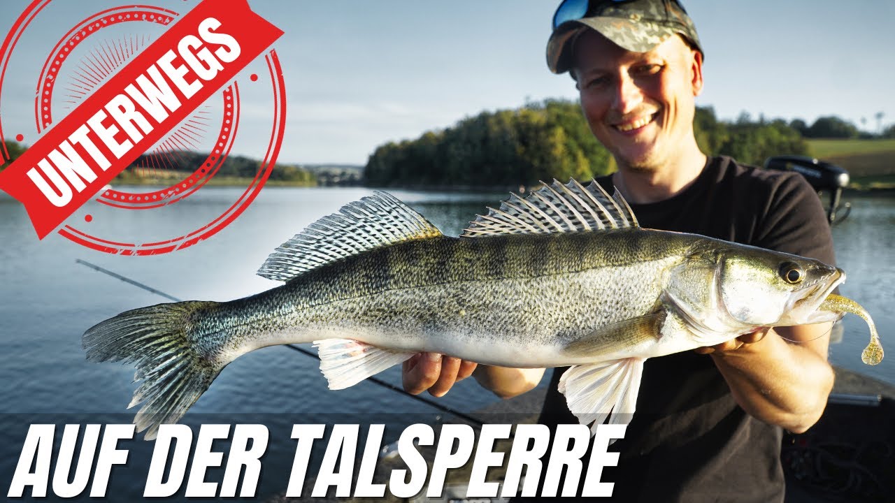 Zander Vlog | Mit Gummifisch in der Talsperre