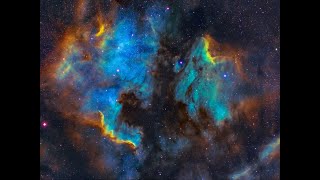 Exploring the Future of Health: Leveraging Space
