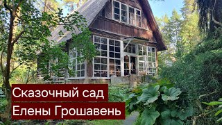 видео: Сказочный сад Елены Грошавень. Путешествия по садам. картинка: Сказочный сад Елены Грошавень. Путешествия по садам.