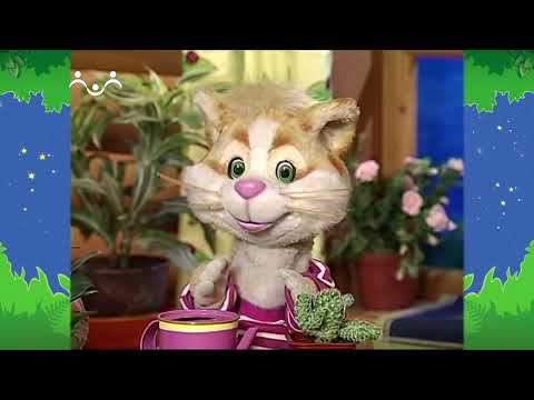 Вечер в Шишкином Лесу. Быт. Вопросики