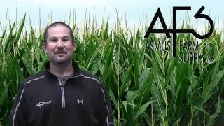 Fungicide Application Timing