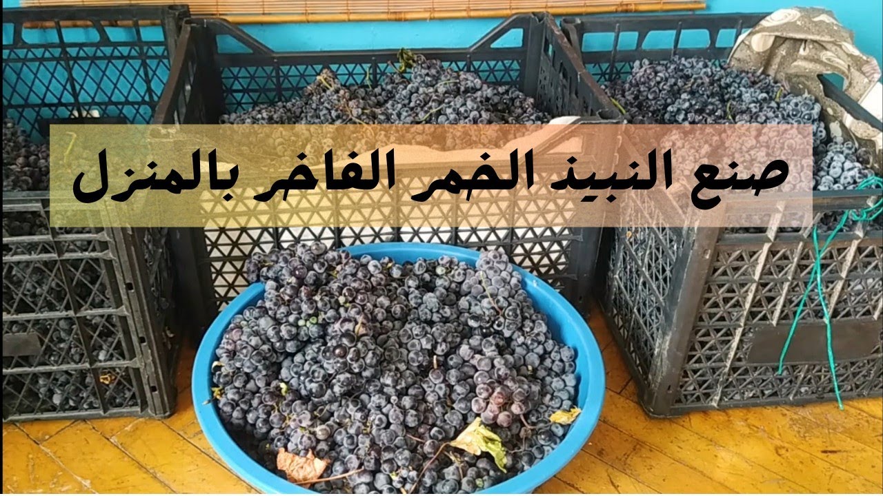 صنع النبيذ الفاخر في المنزل، اصنع الخمر النبيذ الأصلي  بالبيت |مشروبات كحولية