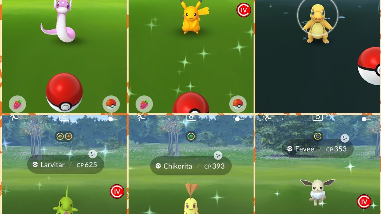 POKEMON GO COMMUNITY DAY DECEMBER 2018