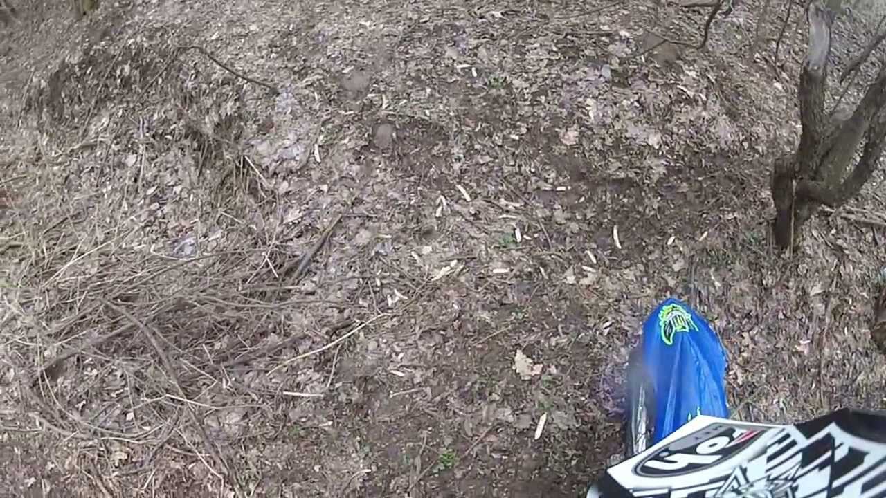 La cules de ghiocei :)) camera iphone 8 plus apk