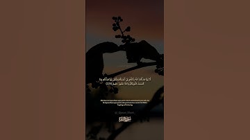 سورة البقرة الآية رقم 225  بصوت مشاري راشد العفاسي مع الترجمة الإنجليزية  #القران #لايك #اكسبلور