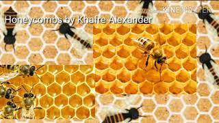 Honeycombs precalculus project